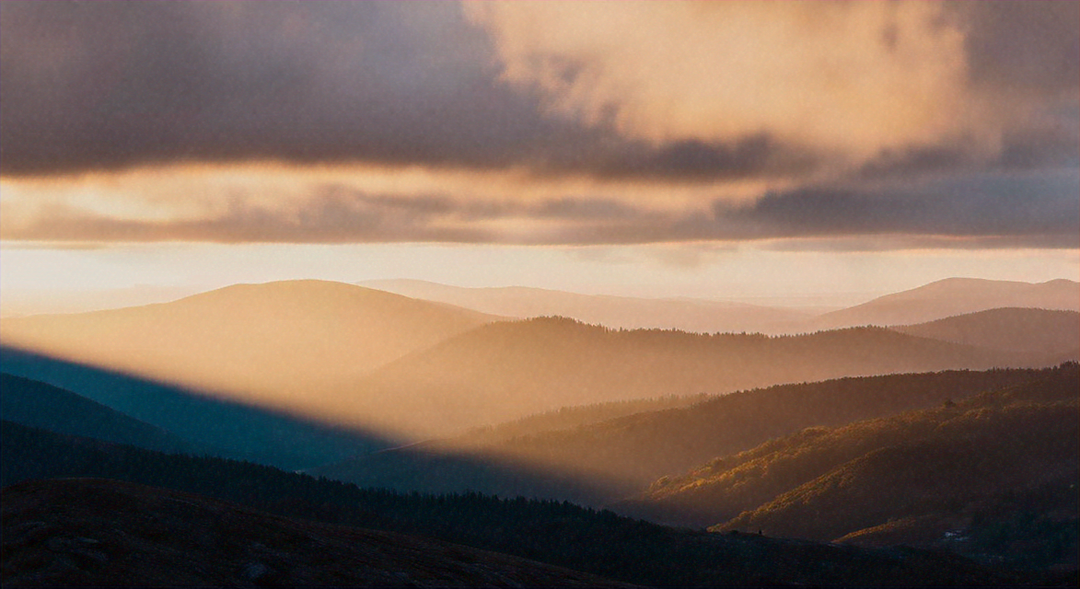10 Daily Affirmations to Boost Your Positivity