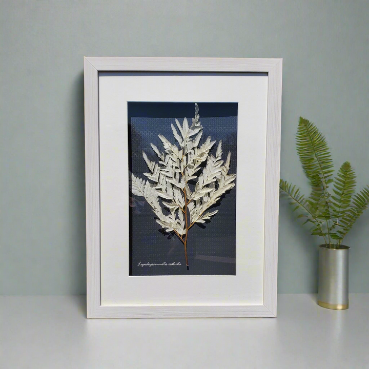 Botanical Shadow Box – Delicate Leaf (12x16in)