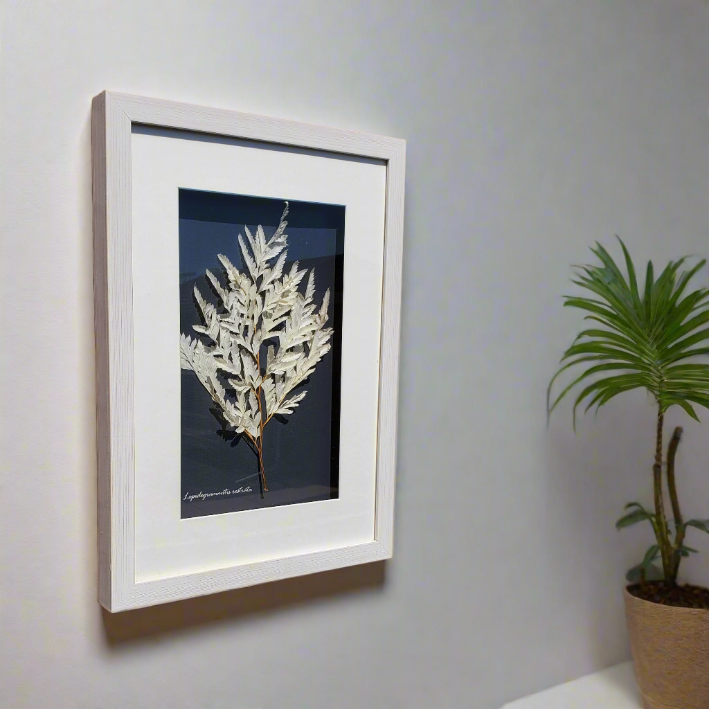 Botanical Shadow Box – Delicate Leaf (12x16in)