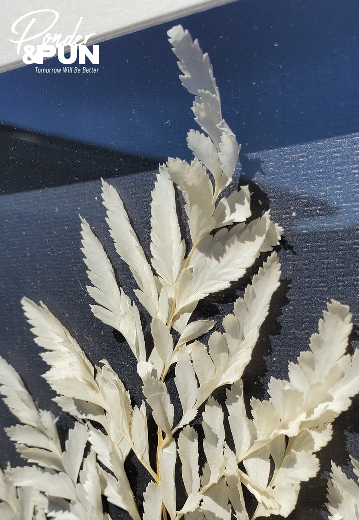 Botanical Shadow Box – Delicate Leaf (12x16in)