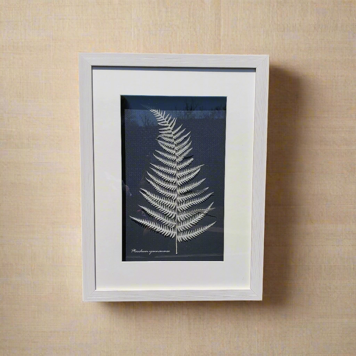 Botanical Shadow Box – Nature’s Imprint (12x16in)
