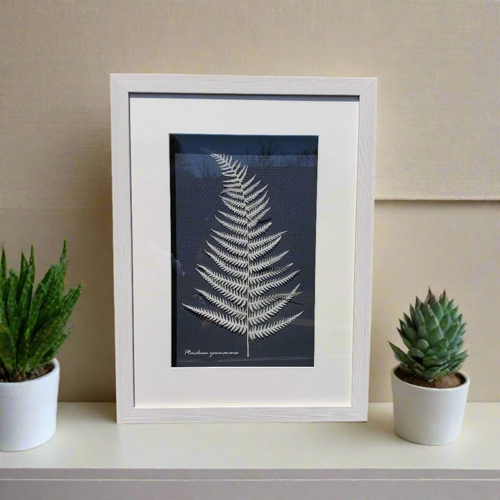 Botanical Shadow Box – Nature’s Imprint (12x16in)