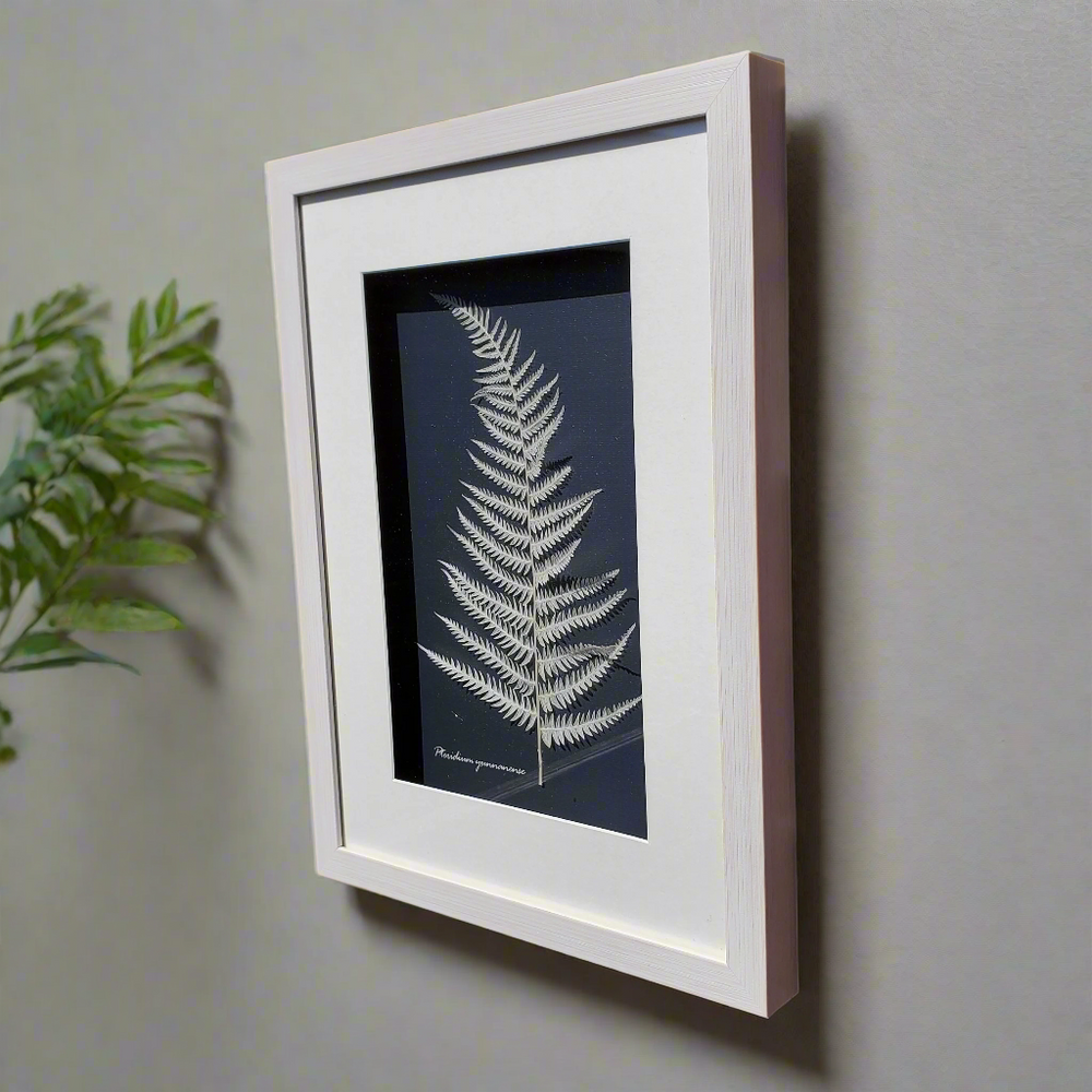 Botanical Shadow Box – Nature’s Imprint (12x16in)