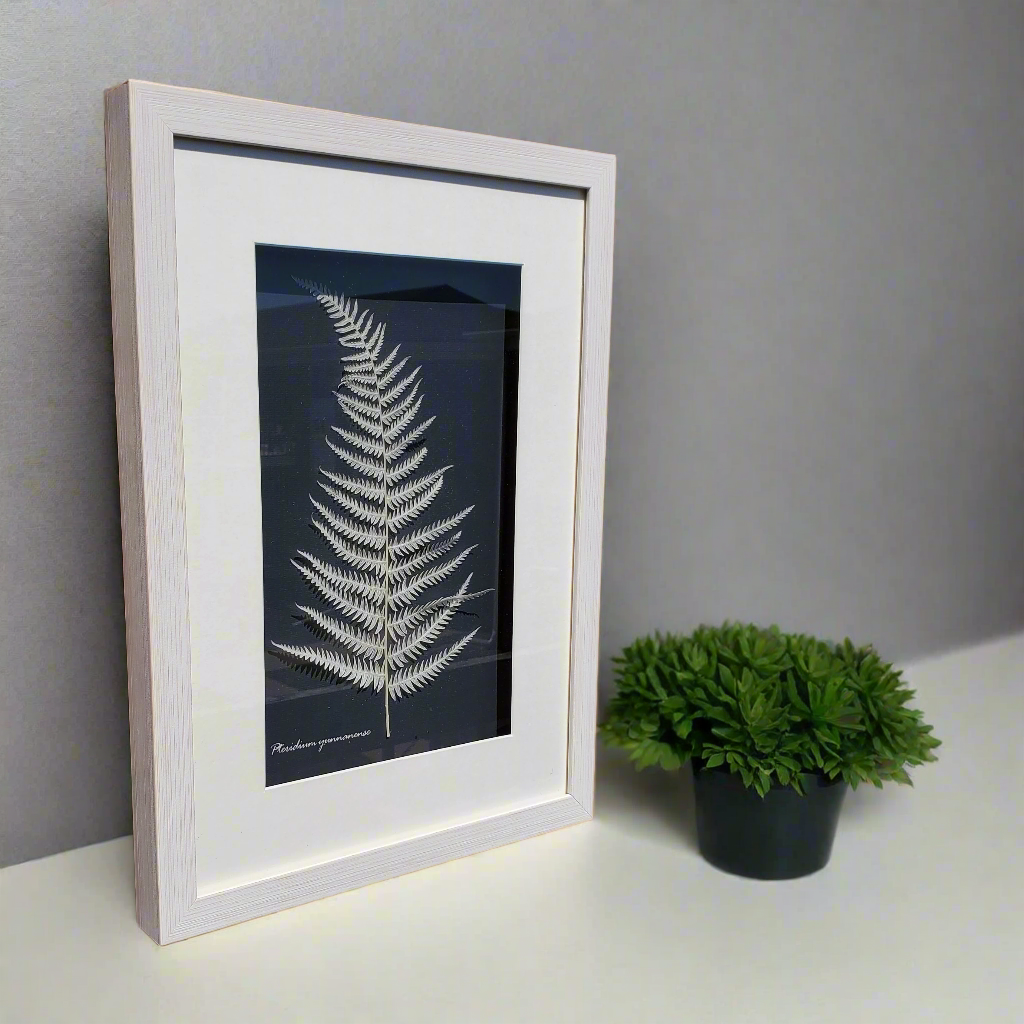 Botanical Shadow Box – Nature’s Imprint (12x16in)