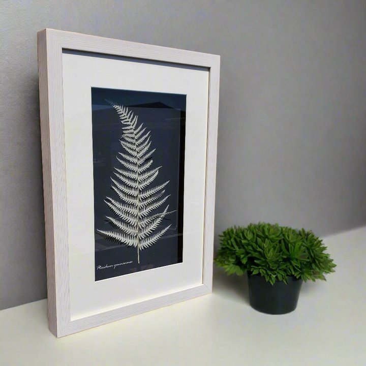 Botanical Shadow Box – Nature’s Imprint (12x16in)